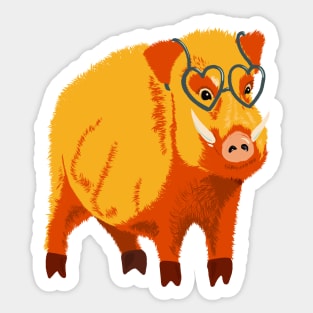 Cute Boar Pig With Glasses Sticker